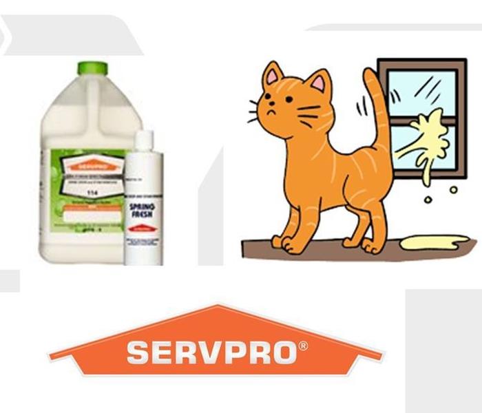 Cartoon of image of a cat urinating and a bottle of servpro's 114TDS